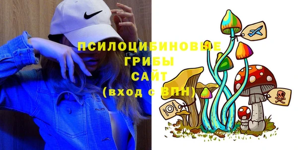 амф Осинники