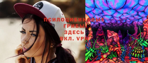амф Осинники