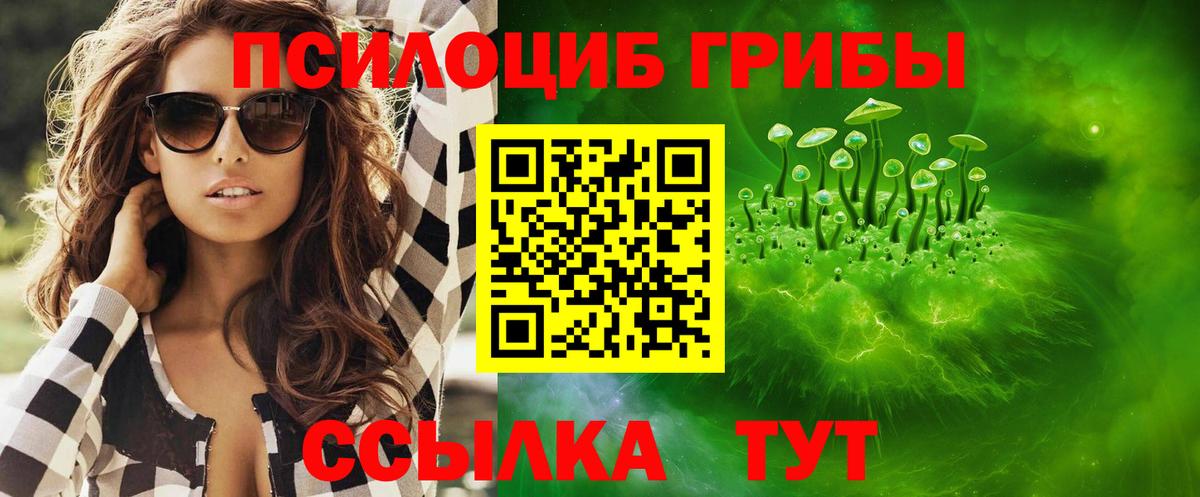 Ржев  Псилоцибиновые грибы Psilocybe  Вход с VPN 