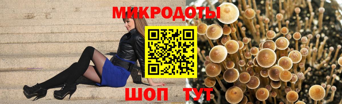 Псилоцибиновые грибы Psilocybine cubensis Ржев