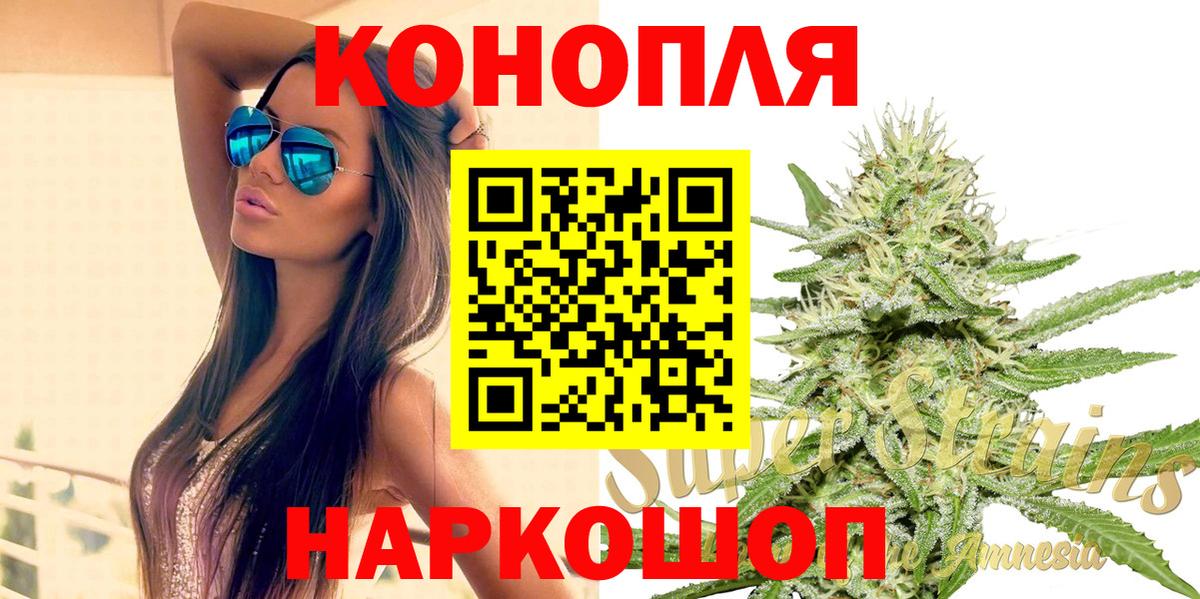Канабис OG Kush Ржев